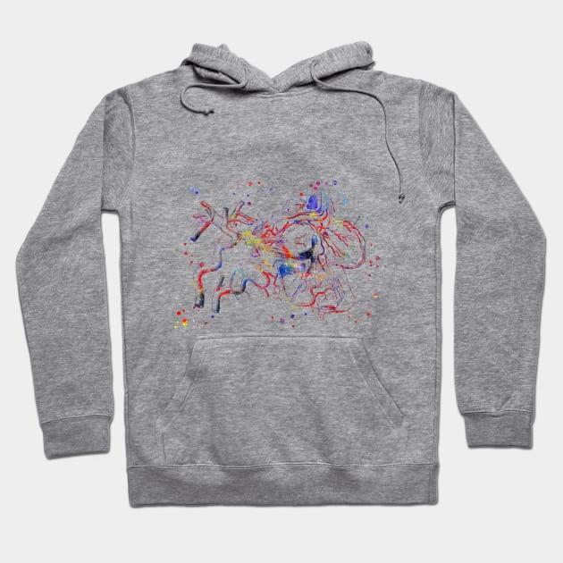 Eye arteries Hoodie by RosaliArt